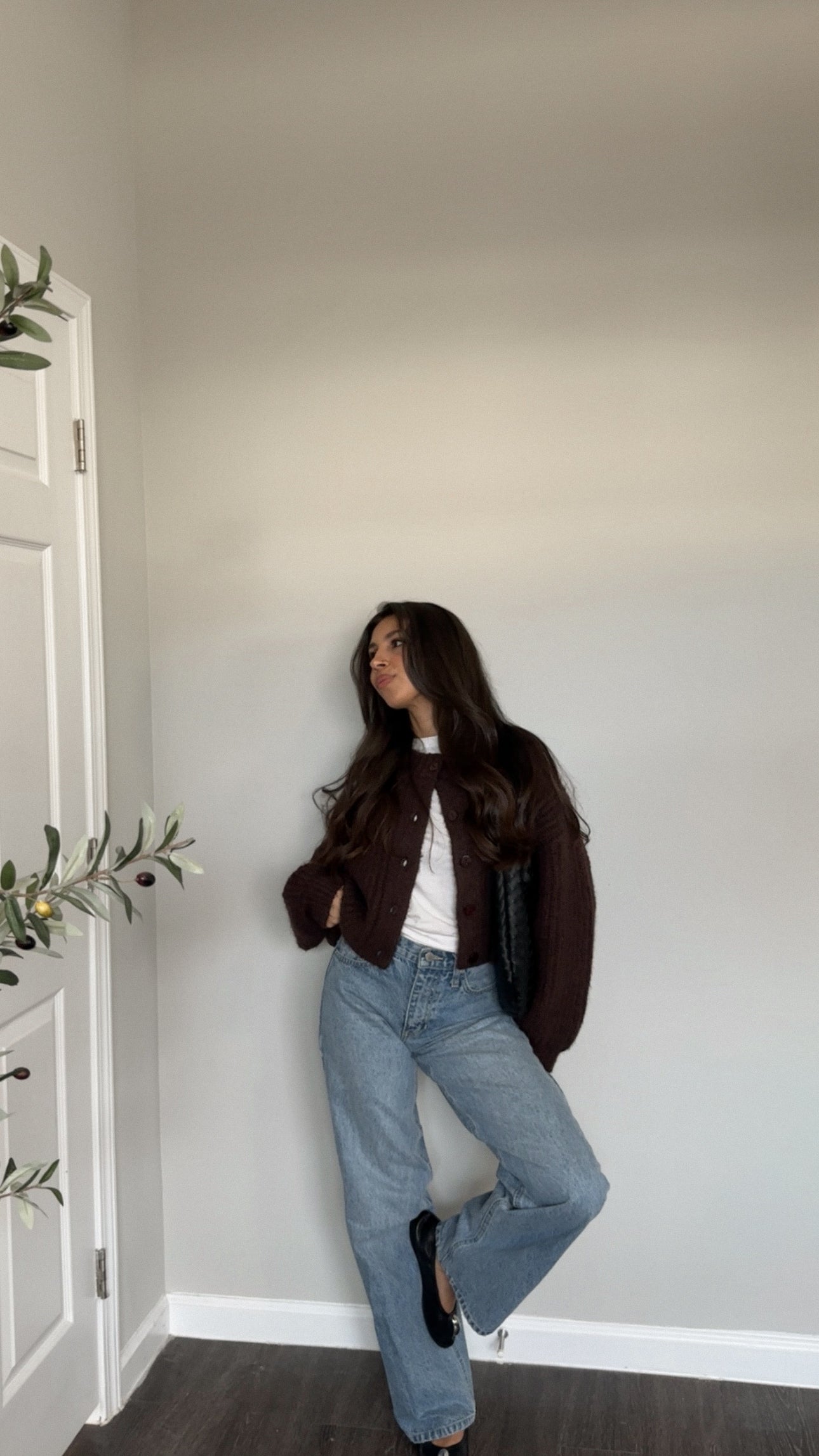Gabrielle Cardigan (Brown)